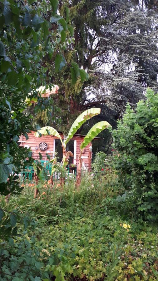 Le Jardin Des Merveilles Saint-Pierre-d'Autils Екстериор снимка