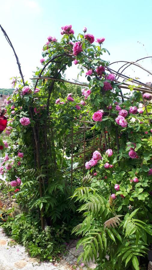 Le Jardin Des Merveilles Saint-Pierre-d'Autils Екстериор снимка