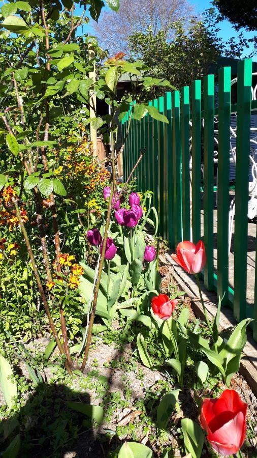 Le Jardin Des Merveilles Saint-Pierre-d'Autils Екстериор снимка